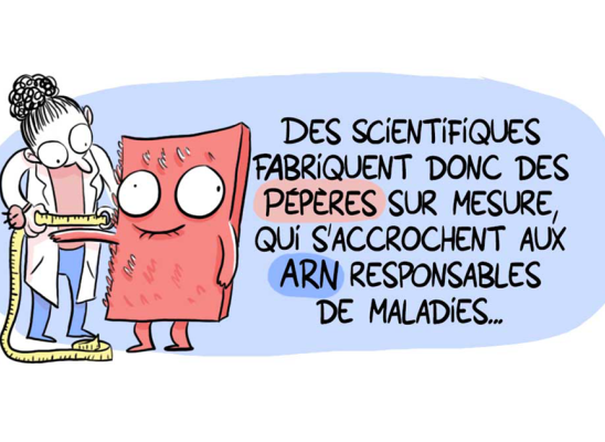 Camille Van Belle pour le CNRS Alsace