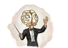 Le cervelet, chef d'orchestre méconnu du temps cérébral - Sophie Le Ray